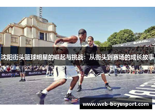 沈阳街头篮球明星的崛起与挑战：从街头到赛场的成长故事