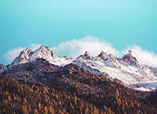 LeyuSports：点亮运动生活的科技之光